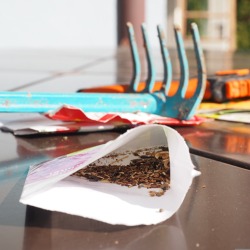 Saatgutmischungen: Was ist wirklich drin? &nbsp;