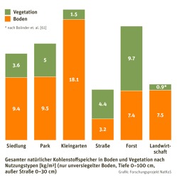 Kleingärten sind die wirksamsten CO2-Speicher   