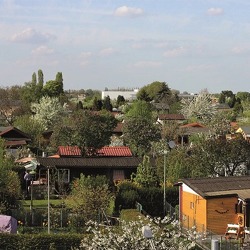 Flora und Fauna in unseren Gärten