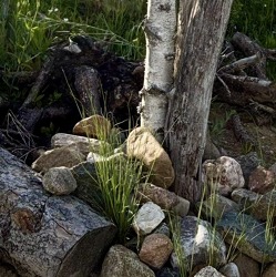 Wilde Ecken im Garten &nbsp; &nbsp;